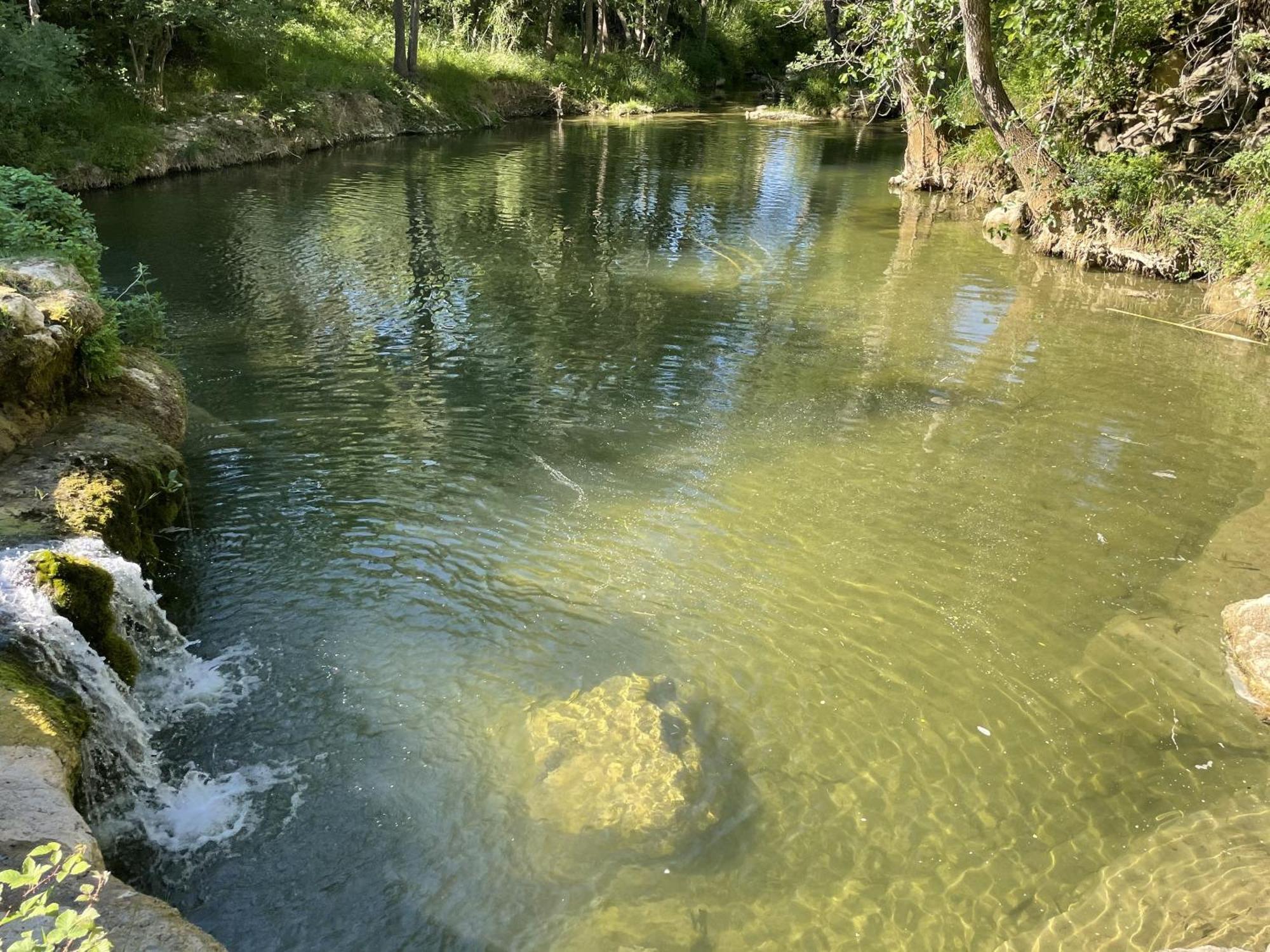 Le Domaine De La Tuilerie - Gite De Charme En Bord De Riviere Avec Piscine Servies-en-Val Екстер'єр фото